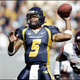 Illustration for article titled West Virginia Quarterback Pat White Says WVU Baseball Coach Greg Van Zant Isn't Fond of Black Players